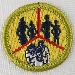 Family Life (Green) Merit Badge 1991-1994-2002 Type H [MB-686] - Picture 1 of 1