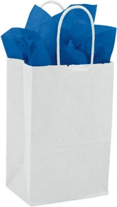Weißpapier Einkauf 250 Beutel Griffe 5 1/4” x 3 1/4” x 8 3/4” Einzelhandelsware - Bild 1 von 8