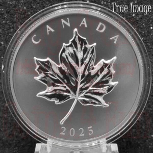 2025 - Elegant Maple Leaf - $20 Pure Silver Proof Rhodium-Plated Coin - Canada - Bild 1 von 3