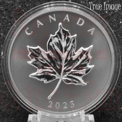 2025 Elegant Maple Leaf #1 - $20 Pure Silver Proof Rhodium-Plated Coin - Canada - Image 1 of 3