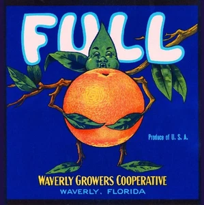 f42 Waverly Florida Full Orange Citrus Fruit Crate Label Fridge Mag - Picture 1 of 1