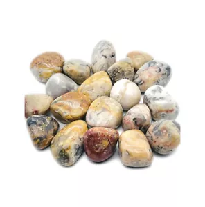 Lot de 3 Pierres Roulées Naturelle Agate Crazy Lace de 2 à 3 cm - Imagen 1 de 1