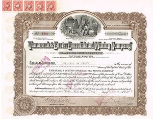 USA TAMARACK CUSTER CONSOLIDATED MINING stock certificate 1918 - Picture 1 of 1