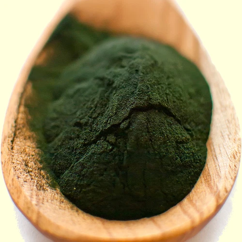 BIENENSCHWARMMM 1kg Chlorella Pulver, ohne Zusätze + Zertifikat