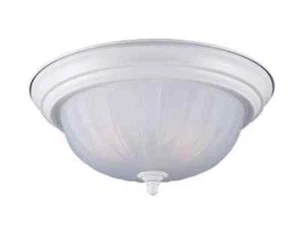 Sea Gull Lighting Floyd 2 Light Flush Mount in White Ceiling light 7505-15 - Picture 1 of 3