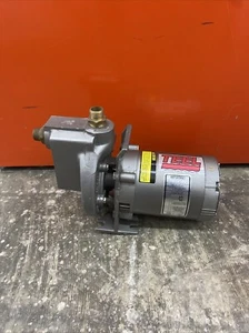 Teel Self-Priming Centrifugal Pump 2P390 With Dayton 9K679 Electric Motor 1/2HP - Picture 1 of 9
