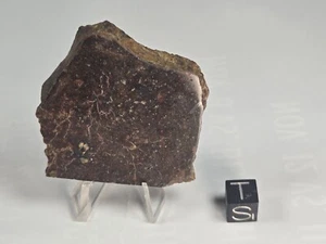 Sandy Creek Stone, OC, L5 Found 1999 Clay Co., Nebraska 42.6 gram slice - Picture 1 of 6