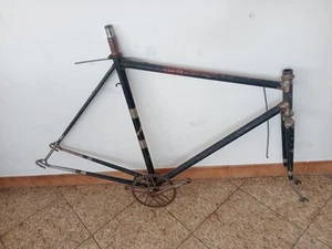 Telaio Bici Corsa Sportiva anni 50 Eroica Vintage Special Fixed - Imagen 1 de 14