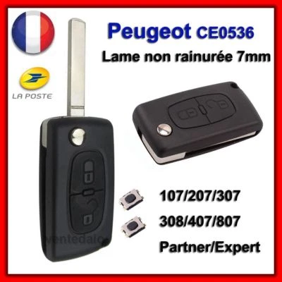 GÉNÉRIQUE Coque Clé Pour Peugeot 107 207 307 308 SW 407 807 Partner Expert CE0536 +Switchs