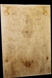 Libro chitarra figurato in acero argento, burl/pizzo top abbinato. - Foto 1 di 7
