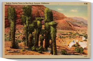 Cartolina Joshua Cactus Tree Red Rock Canyon CA Vintage Vintage Unp Lino deserto - Foto 1 di 2