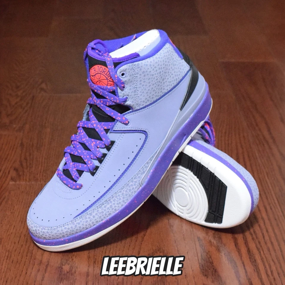 Talla 10.5 - Nike Air Jordan 2 Retro Hierro Púrpura Infrarrojo 23 Concord 385475-553 Foto 1 de 4