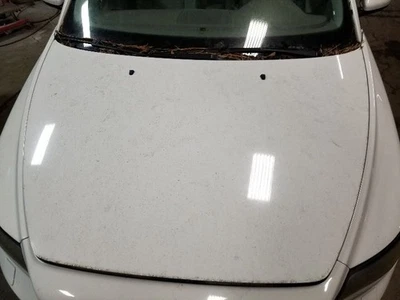 Капот C70 подходит для 06-13 VOLVO 70 SERIES 312069 - Изображение 1 из 4