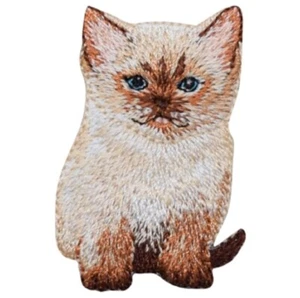 Parche de aplique Ragdoll gatito - insignia de gato, gatito siamés 2-1/8" (hierro) - Imagen 1 de 1