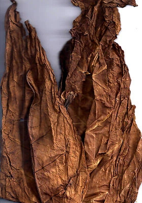 Tabakblätter ''DAC/BC'' 1kg Premium Qualität (Tabak,Tabakpflanzen) - Bild 1 von 2