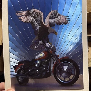 CUSTOM MADE ~ Eagle Motorcycle Colorful Raised Picture ~ Great For Decoration - - Picture 1 of 11