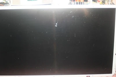 Pantalla Sony KDL46XBR4 LTY460HHLH20027 Foto 1 de 4