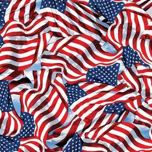 AMERICA'S HIGHWAY BY BENARTEX USA FLAGS OLD GLORY JULY 4TH PATRIOTIC FABRIC HY - Picture 1 of 3