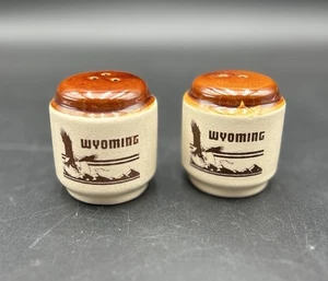 VINTAGE SOUVENIR CERAMIC SALT & PEPPER SHAKERS FROM WYOMING - Bild 1 von 4