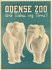 96439 Odense Zoo Elephant Denmark Scandinavia Travel Wall Print Poster Au