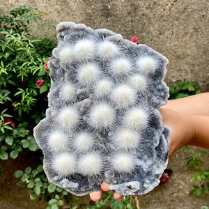 318G  Indian dandelion zeolite Quartz Crystal Cluster Mineral Specimen - Picture 1 of 14