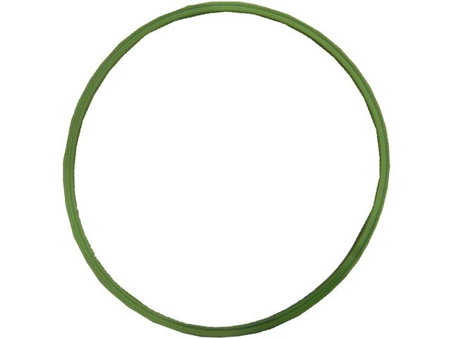 Junta tórica de unidad de envío de tanque de combustible para Pontiac Aztek 2001-2004 2003 2002 GH142NK Foto 1 de 1