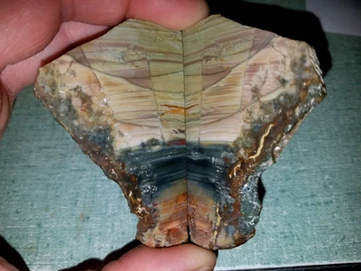 Oregon Blue Mountain Jasper 2 Piece Butterfly Slab Set Lapidary Cabochon JoNGD: - Image 1 of 4