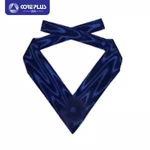 Masonic Past Provincial Order of The Secret Monitor AMD Collarette Dark Blue - Picture 1 of 1