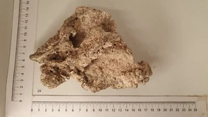 Nr.29 Nano Aquarium echtes Riffgestein Felsen Stein Einzelstück *RAR Meerwasser* - Bild 1 von 4