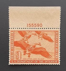 TangStamps: Bund Entenmarke 1944-1945 #RW11 postfrisch NH, VZ CV 125 $ - Bild 1 von 2