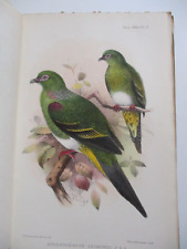 October 1910 THE IBIS Journal of Ornithology HAND COLOURED BIRD PLATES Sclater