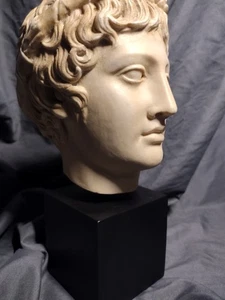  Head Of Dionysus/Bacchus Or Greek Youth Sculpture 11" Cast Marble Resin - Picture 1 of 24