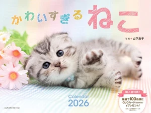 2026 Super Cute Cat Calendar Fluffy Cute Kittens Brighten Every Day Wall Ha 463 - Picture 1 of 1