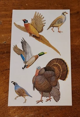 Hoja de pegatinas retiradas Mrs. Grossman ~ Studio Line Game Birds de Zeke Smith. Foto 1 de 2