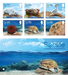 Alderney Stamps: "RAMSAR - Sealife" Presentation Pack 2020 - Picture 1 of 6
