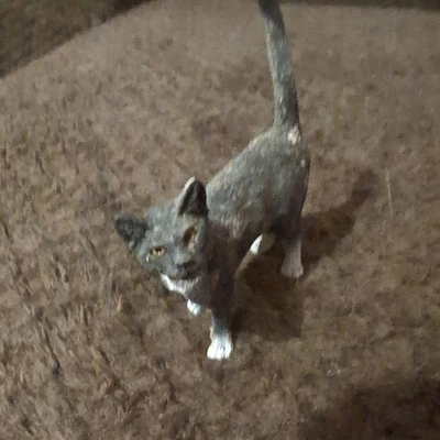 Esmoquin negro Schleich gato de pie 2014 estatuilla animal juguete mascota figura granja Foto 1 de 3