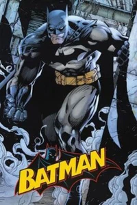 Póster de cómic de Batman 24 X 36 - Imagen 1 de 1