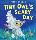 Tiny Owl's Scary Day By Petr Horacek