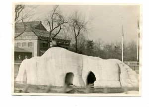 Foto De Colección BRONX ZOO 1940 Sello PISCINA DE LEONES MARINOS - Imagen 1 de 1