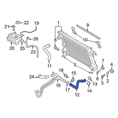 For Ford F-250 Super Duty 2017-2024 Ford HC3Z8286D Lower Radiator Coolant Hose Foto 1 de 4