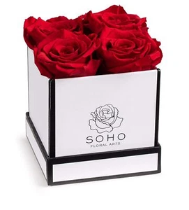 Soho Floral Arts | Roses in A Box | Genuine Roses that Last for Years (White ... - Picture 1 of 6