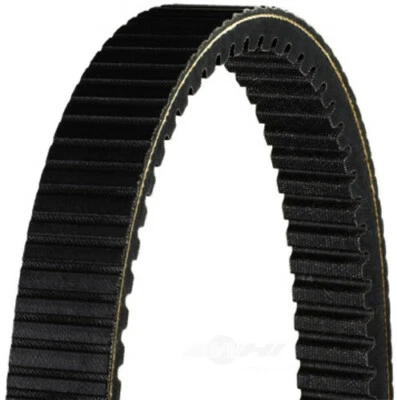 Cinturón Dayco HPX5004 Foto 1 de 2