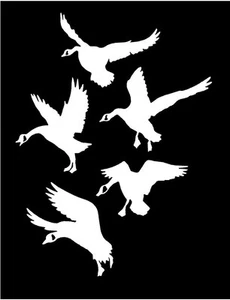 WHITE Vinyl Decal - 5 Geese landing goose duck hunt hunting country fun sticker - Picture 1 of 1