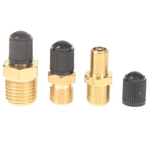 Automobile Tire Valve Core Tire Valve Tire Pressure Monitoring 1/4 1/8 NPT A*eh - Picture 1 of 11