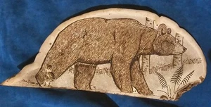 ART/Drawing: BEAR On Real Mushroom - ART - Picture 1 of 8