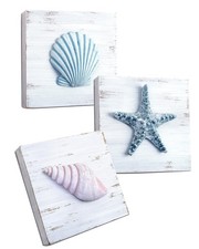 Tideandtales Beach Theme Seashell Wall Decor Set of 3 | Shells and Starfish for