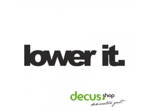 LOWER IT L 2137 13x3 cm // Sticker JDM Aufkleber Frontscheibe - Picture 1 of 2
