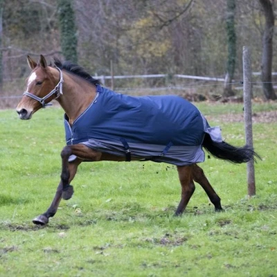 EQUI-THÈME „TYREX 600 D" 150g - marineblau/grau - Weidedecke - Regendecke - Bild 1 von 4
