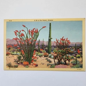 Vintage Postcard A Bit Of The Desert Arizona C.T. Art-Colortone Genuine Curt - Picture 1 of 5