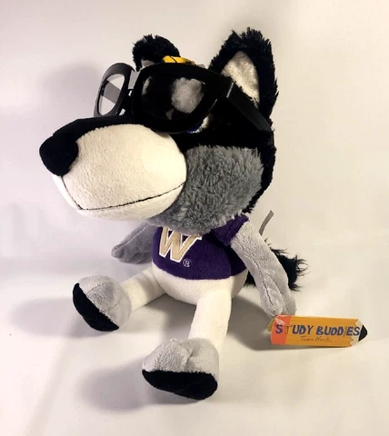 Washington Huskies plush Study Buddies NCAA Stuffed Mascot nerd graduate gift Cover